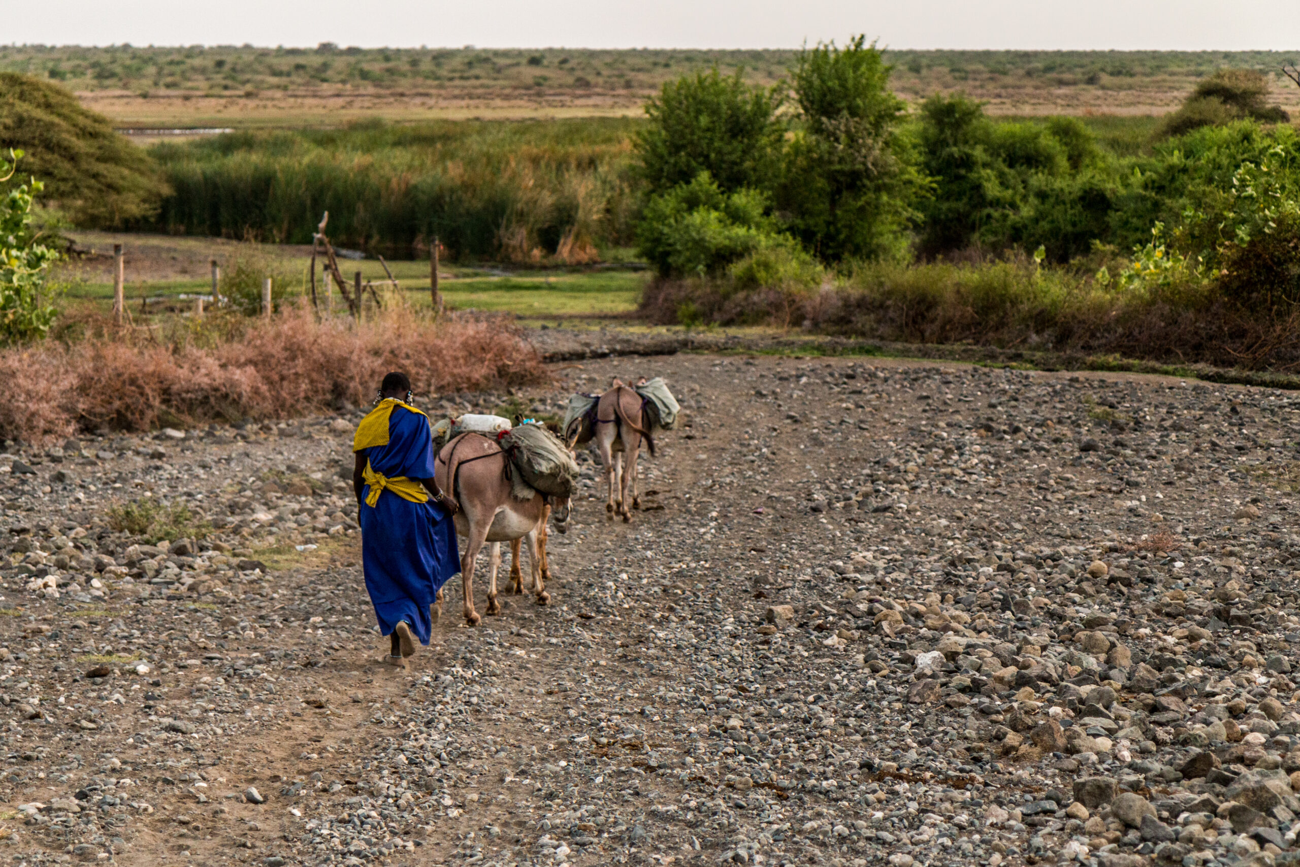 Crédit photo : Théodore Heitz Tous droits réservés
